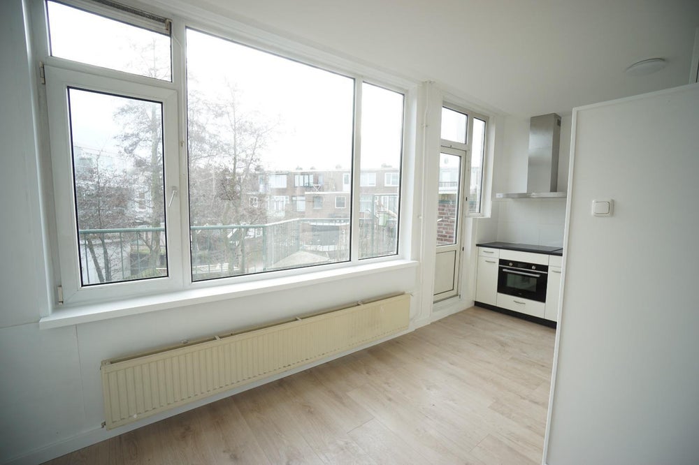 apartments for rent on Van Ruijsdaellaan 15 B