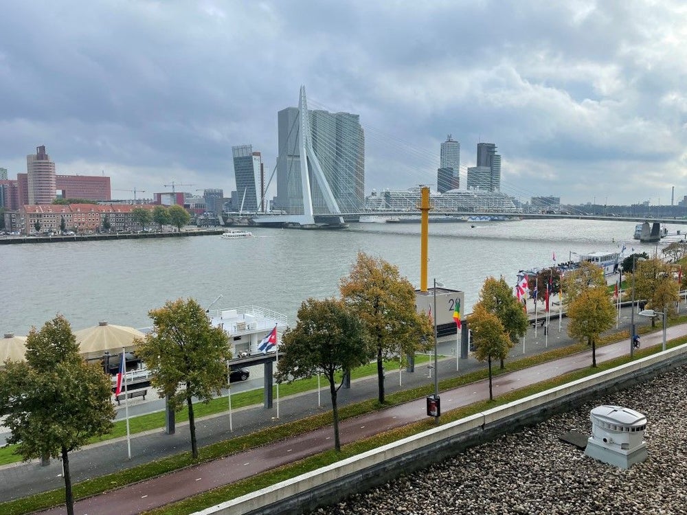 https://wonenhartje.nl/wp-content/uploads/2026/07/661e7fa7d5433_661e7d62a8a8a-rotterdamboompjes-d190_8.jpg