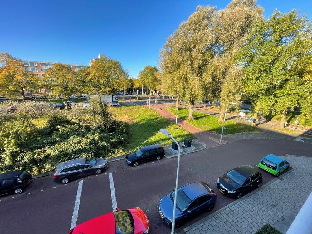 Erasmusplein